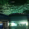 Oceanario Mount Desert explora el océano mundo oceanario Leyu Personalización profesional - Leyu
