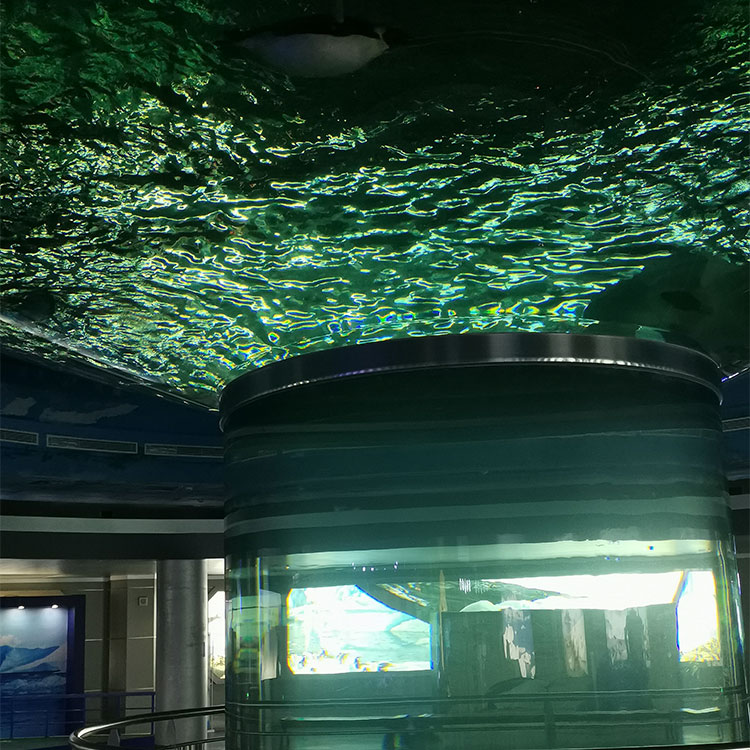 Oceanario Mount Desert explora el océano mundo oceanario Leyu Personalización profesional - Leyu
