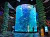 Acuario Aqualife construido por Leyu Acrylic Aquarium Factory - Leyu