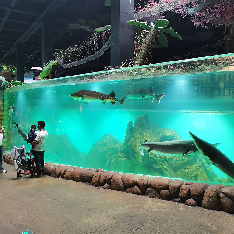Ventana de acrílico personalizada Acuario Oceanarium-Leyu Fábrica de productos de láminas acrílicas 