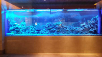 //imrorwxhmmkrpk5p-static.ldycdn.com/cloud/pjBmqKmipmSRploqokojkr/How-to-own-Acrylic-Aquariums-Plastic-Fish-aquariums-Leyu.jpg