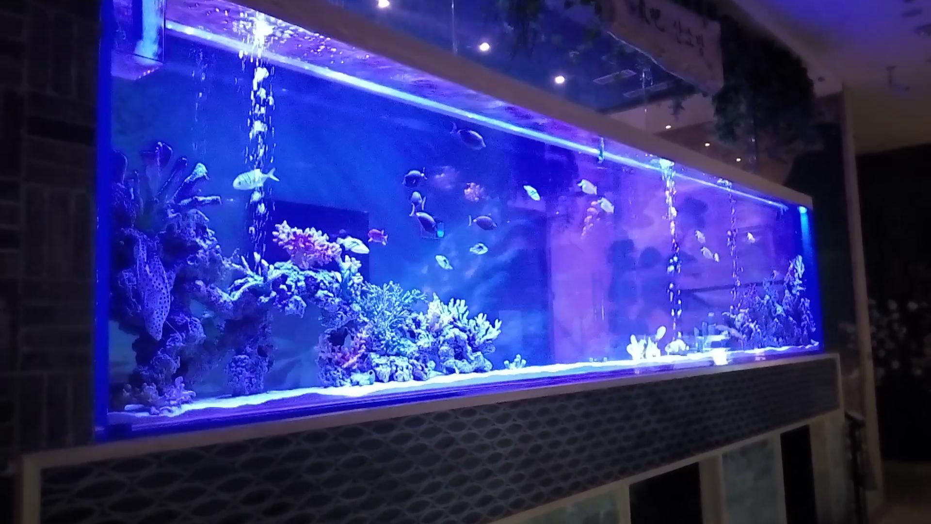 ¿Cuál es la mejor pecera de acuario acrílico en 2024? LEYU Acrylic Fish Tank Factory responderá a sus preguntas - LEYU
