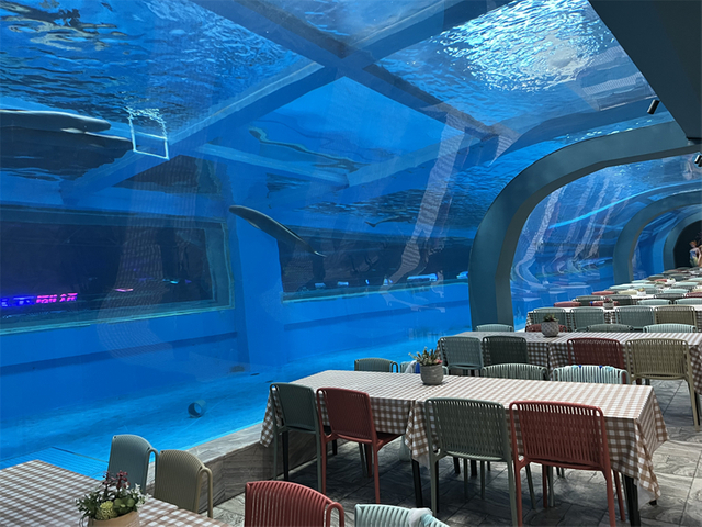 ¿Por qué el fabricante chino de restaurantes con elementos de agua acrílicos es popular? Fábrica de productos de láminas acrílicas Leyu