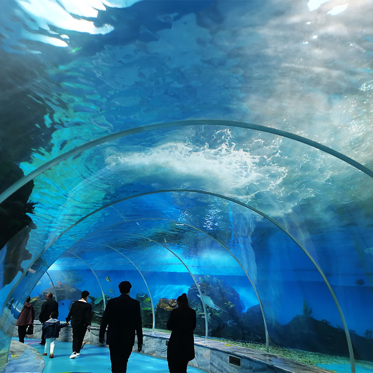 ¿Cuáles son las características del acuario túnel en la fábrica de productos de láminas acrílicas de Bangalore-Leyu?
