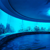Le Yu Acrylic Factory te lleva a explorar el oceanario Sea World - Leyu