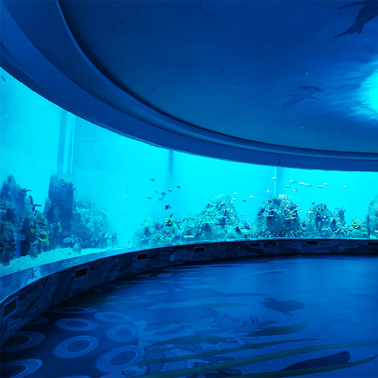 Le Yu Acrylic Factory te lleva a explorar el oceanario Sea World - Leyu