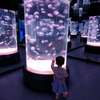 Acuario de medusas acrílico personalizado, tanque de medusas, qué estilos - Leyu