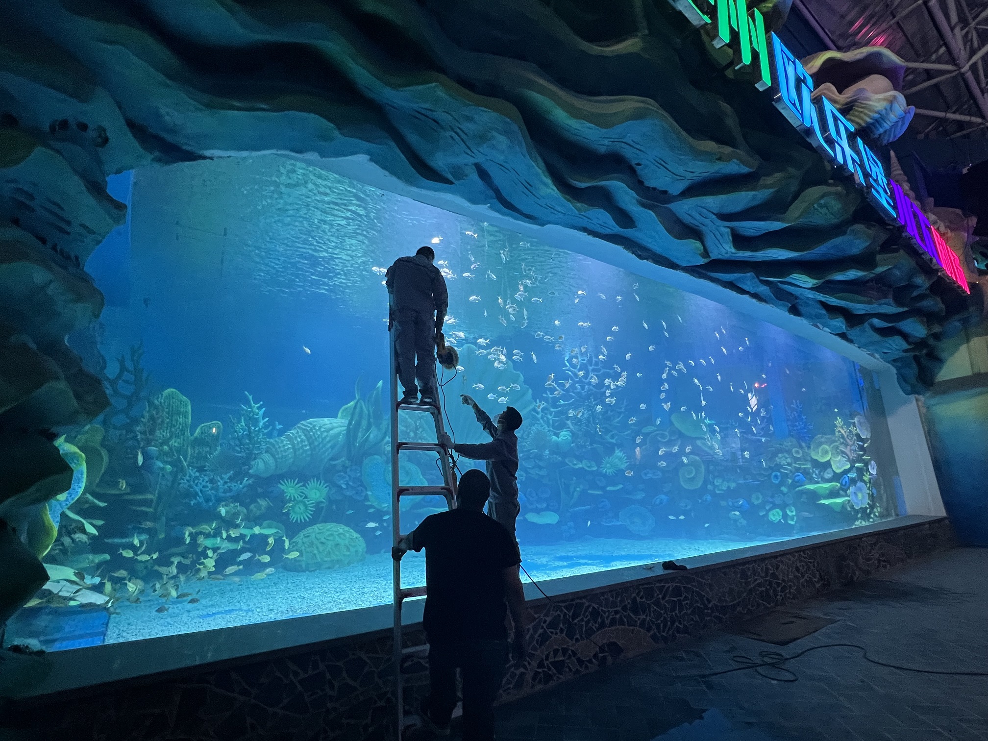 Un acuario con ventana acrílica para piscina es espectacular