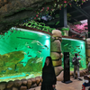 Le Yu Acrylic Factory te lleva a explorar el oceanario Sea World - Leyu