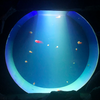 Acuario de medusas ¿Puedo tener medusas en mi acuario? - Leyu