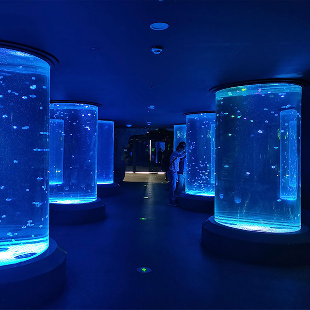Dónde comprar Acuario cilíndrico de medusas - Leyu