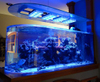 La fábrica de acrílico Bullet Aquarium se especializa en productos personalizados con una vida útil de 20 años - LEYU