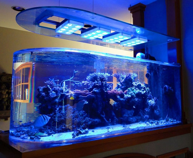 La fábrica de acrílico Bullet Aquarium se especializa en productos personalizados con una vida útil de 20 años - LEYU