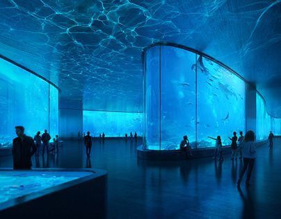 Cómo personalizar un acuario acrílico - LEYU