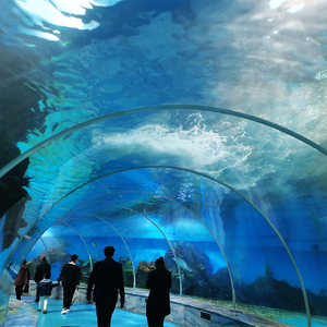 Leyu Acrylic lo lleva a caminar por el túnel del acuario-Fábrica de productos de láminas acrílicas Leyu