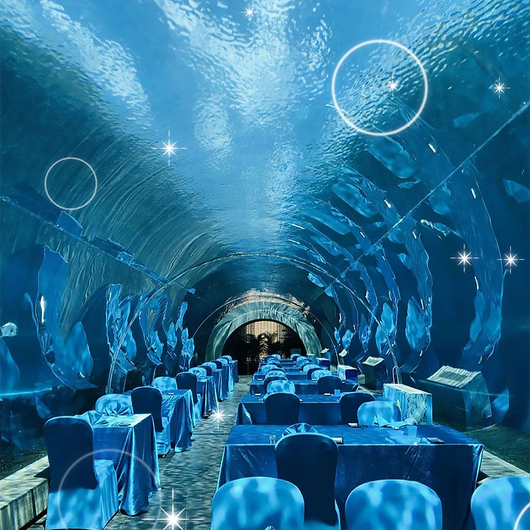 360 Aquarium Tunnel Polar Ocean World, Leyu profesional personalizado- Leyu