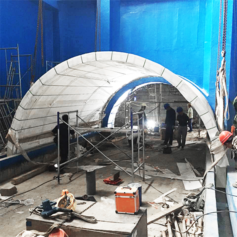 Túnel de cristal acrílico del tanque del acuario del oceanario curvado ultra claro grande - Fábrica de acuarios de acrílico Leyu