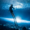 Leyu se especializa en la fabricación de túneles acrílicos para acuarios como el túnel del acuario de Bangalore - LEYU