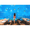 ¿Por qué el restaurante Large Acrylic Ocean utiliza paneles acrílicos? - Fábrica de productos de láminas acrílicas Leyu