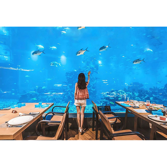¿Por qué el restaurante Large Acrylic Ocean utiliza paneles acrílicos? - Fábrica de productos de láminas acrílicas Leyu