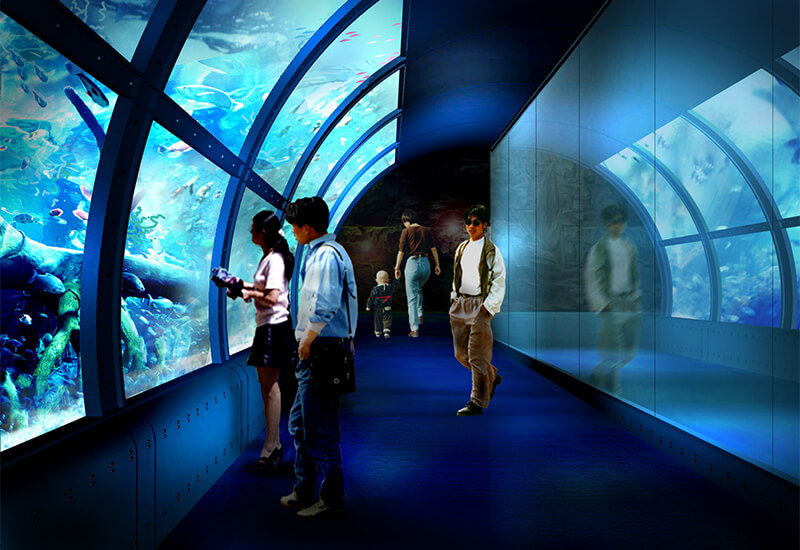 Cómo construir un acuario acrílico
