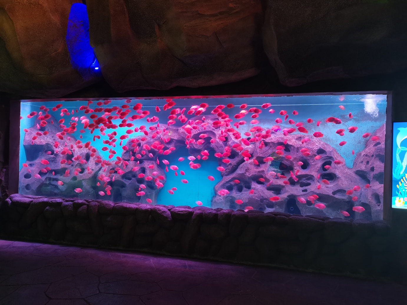 El acrílico de Leyu proporciona tanques de peces de acuario acrílicos grandes y transparentes a la venta - Leyu