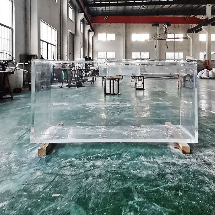 Finalmente se instaló el acuario acrílico transparente Monster de 1,000 galones - Leyu 