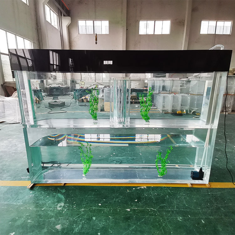 Acuarios acrílicos transparentes Monster de 1,000 galones finalmente instalados por una fábrica profesional - Leyu 