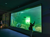 Le Yu Acrylic Factory te lleva a explorar el oceanario Sea World - Leyu