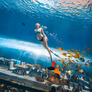 360 Acuario Túnel Polar Ocean World - Leyu