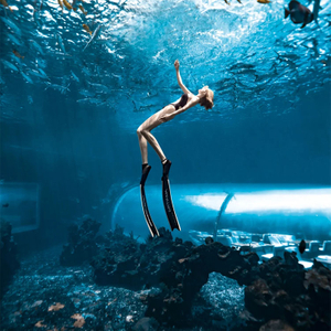 Acuario Túnel Acuario túnel submarino - LEYU