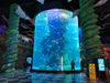 Fábrica de peceras de acuario de acrílico de cilindro grande - leyu