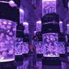 Acuario de medusas acrílico personalizado, tanque de medusas, qué estilos - Leyu