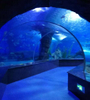 Leyu Acrylic también puede construir acuarios como el Bangalore Tunnel Aquarium - LEYU 