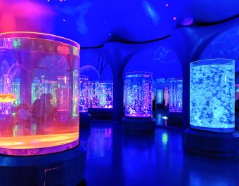 Acuario Acr&iacute;lico