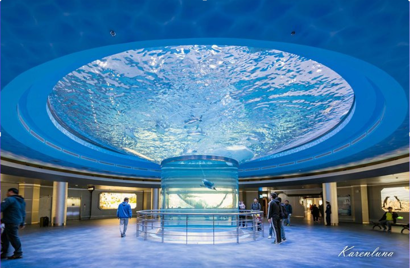 Grandes peceras de acuario con cilindro acrílico instaladas en un centro comercial - Leyu Acrylic