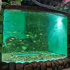 La fábrica china se especializa en ventanas acrílicas personalizadas para oceanario.- leyu 