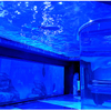 Oceanario restaurante oceanario de chicago cómo limpiar una pecera Fábrica de acuarios acrílicos Leyu - Leyu