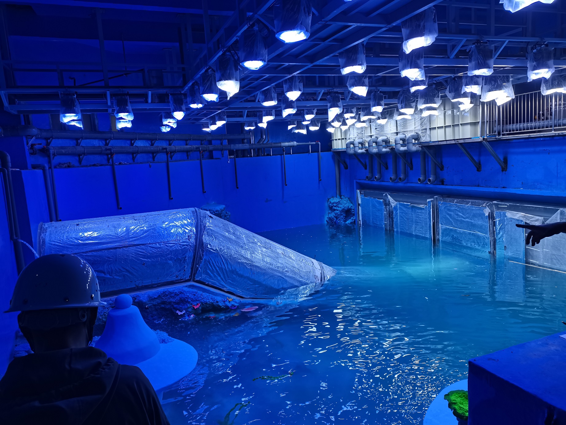 Cómo construir un túnel submarino Preste atención a la fábrica de productos Leyu Plexiglass- Leyu 
