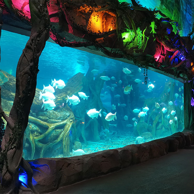 Paneles de acuario acrílicos personalizados de fábrica profesional de cualquier tamaño en Ocean Park - Leyu