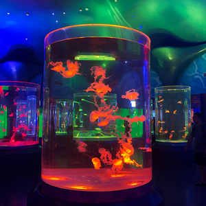 Acuario cilíndrico transparente acrílico personalizado - LEYU