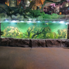 2024 El acuario no puede perderse el diseño de ventana curva del acuario - Fábrica de productos de láminas acrílicas Leyu