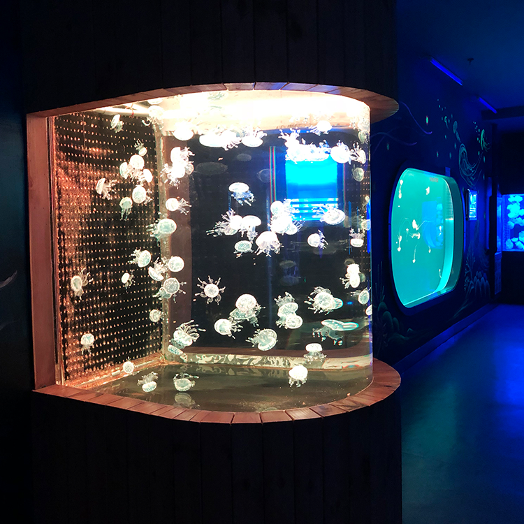 La fábrica de acrílico Bullet Aquarium se especializa en productos personalizados con una vida útil de 20 años - LEYU