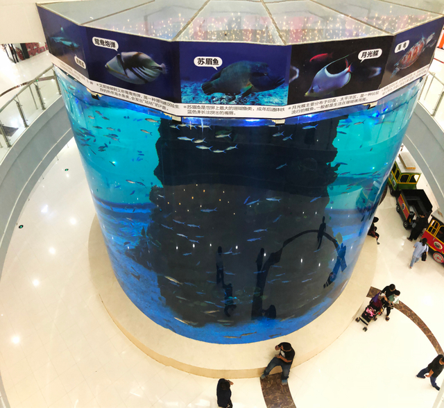 Acuario acrílico personalizado de la fábrica de acuarios acrílicos Leyu - Leyu 