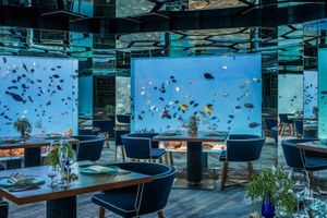 Acuario Aqualife construido por Leyu Acrylic Aquarium Factory - Leyu