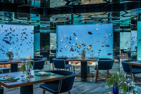 Acuario Aqualife construido por Leyu Acrylic Aquarium Factory - Leyu