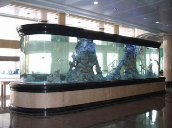 Acuario Bala - LEYU ACRÍLICO
