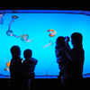 Acuario Aqualife Leyu Fábrica De Acuarios De Acrílico Acuario De Acrílico - Leyu