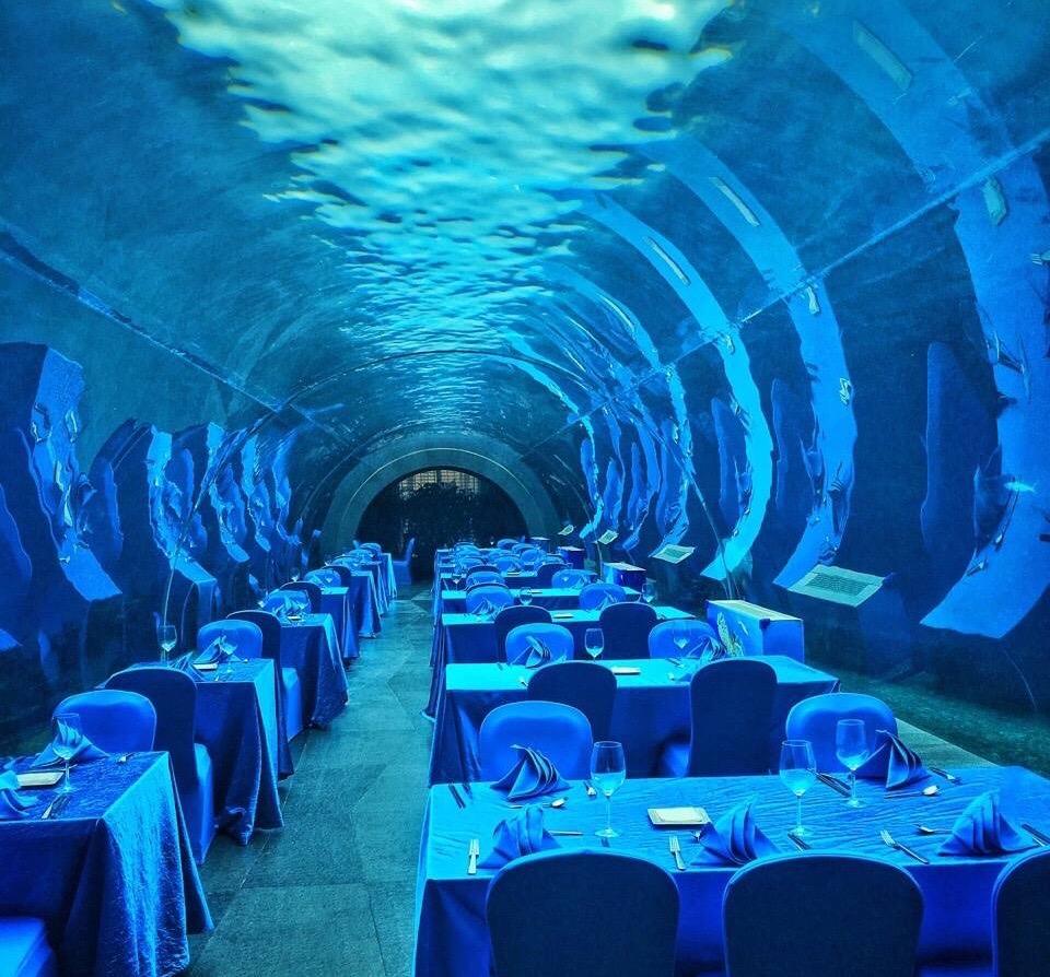 ¿Qué acuario tiene un túnel submarino? Leyu Factory vende túneles submarinos acrílicos- Leyu 