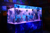 Quiero personalizar un acuario acrílico seaclear para la venta - leyu Acrylic Factory